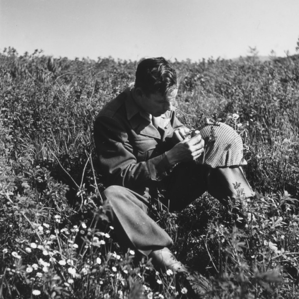 Заглушка