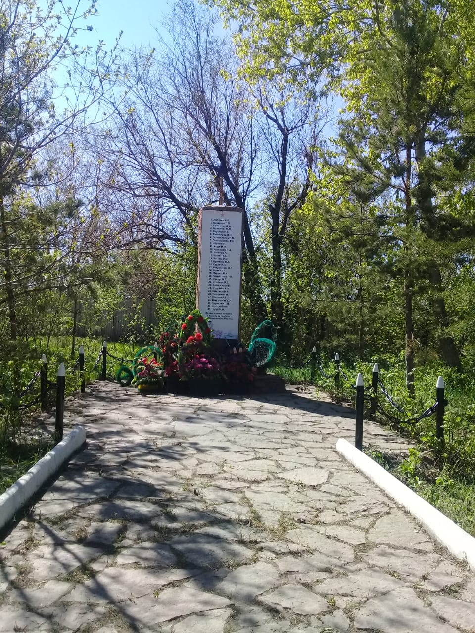 Аккол орман шаруашылыгы
